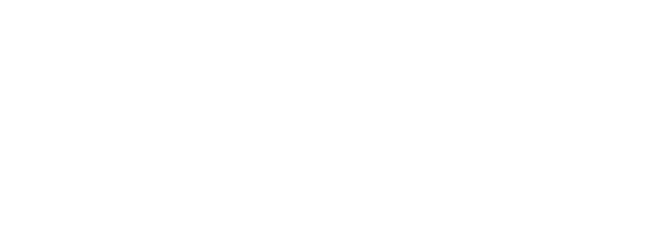 2020INC logo