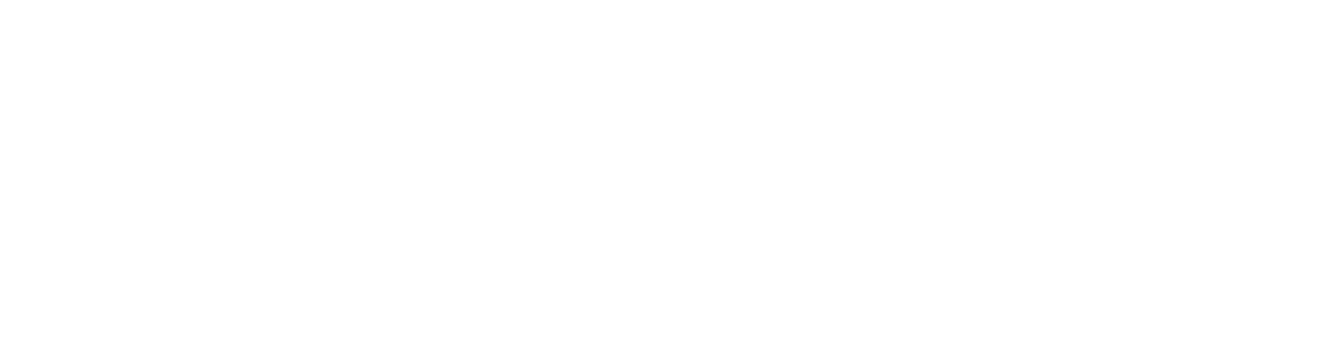2020INC logo